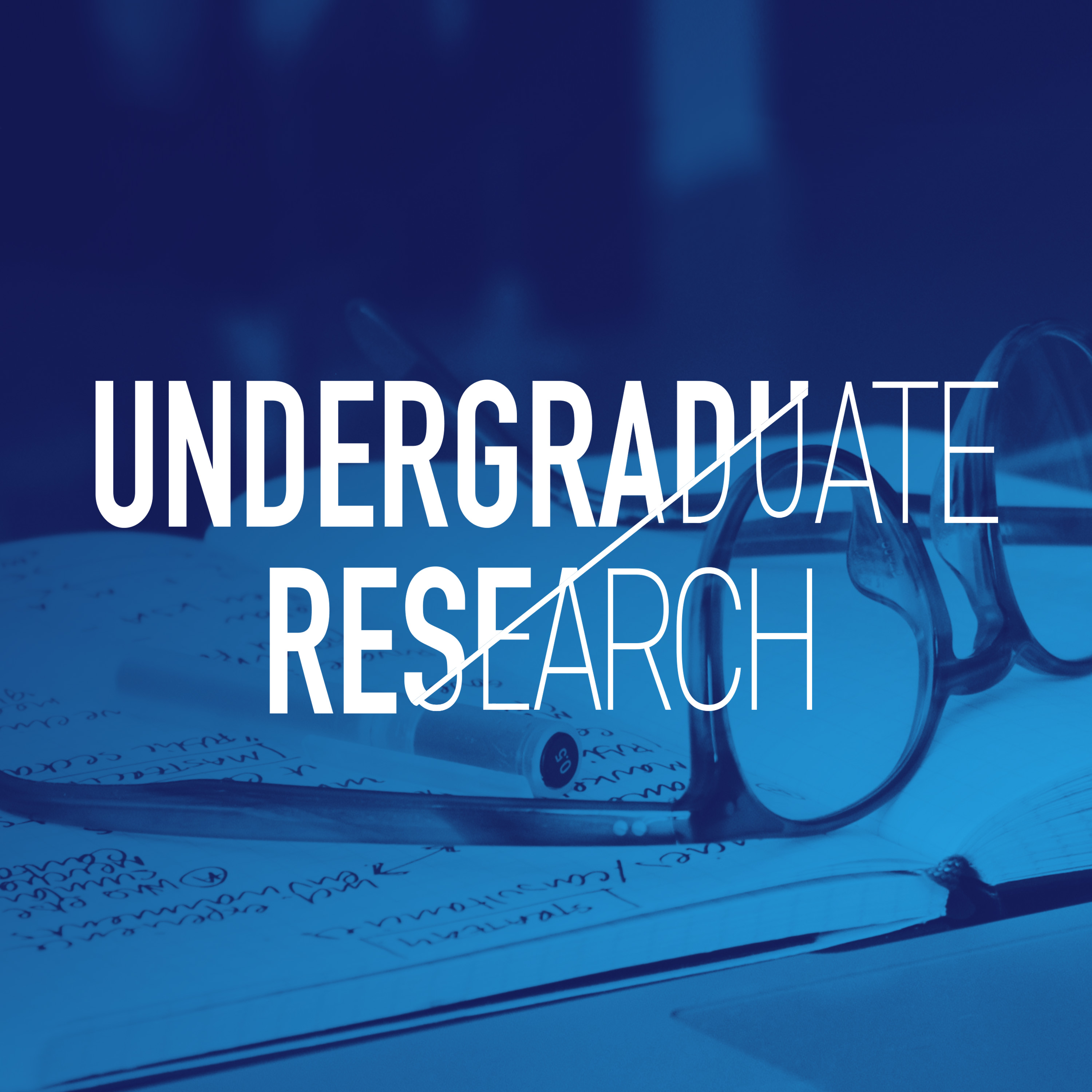 Undergraduate Research