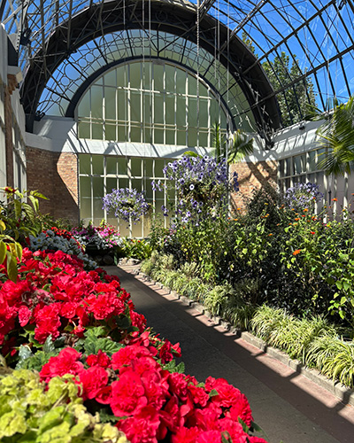 Auckland Winter Gardens
